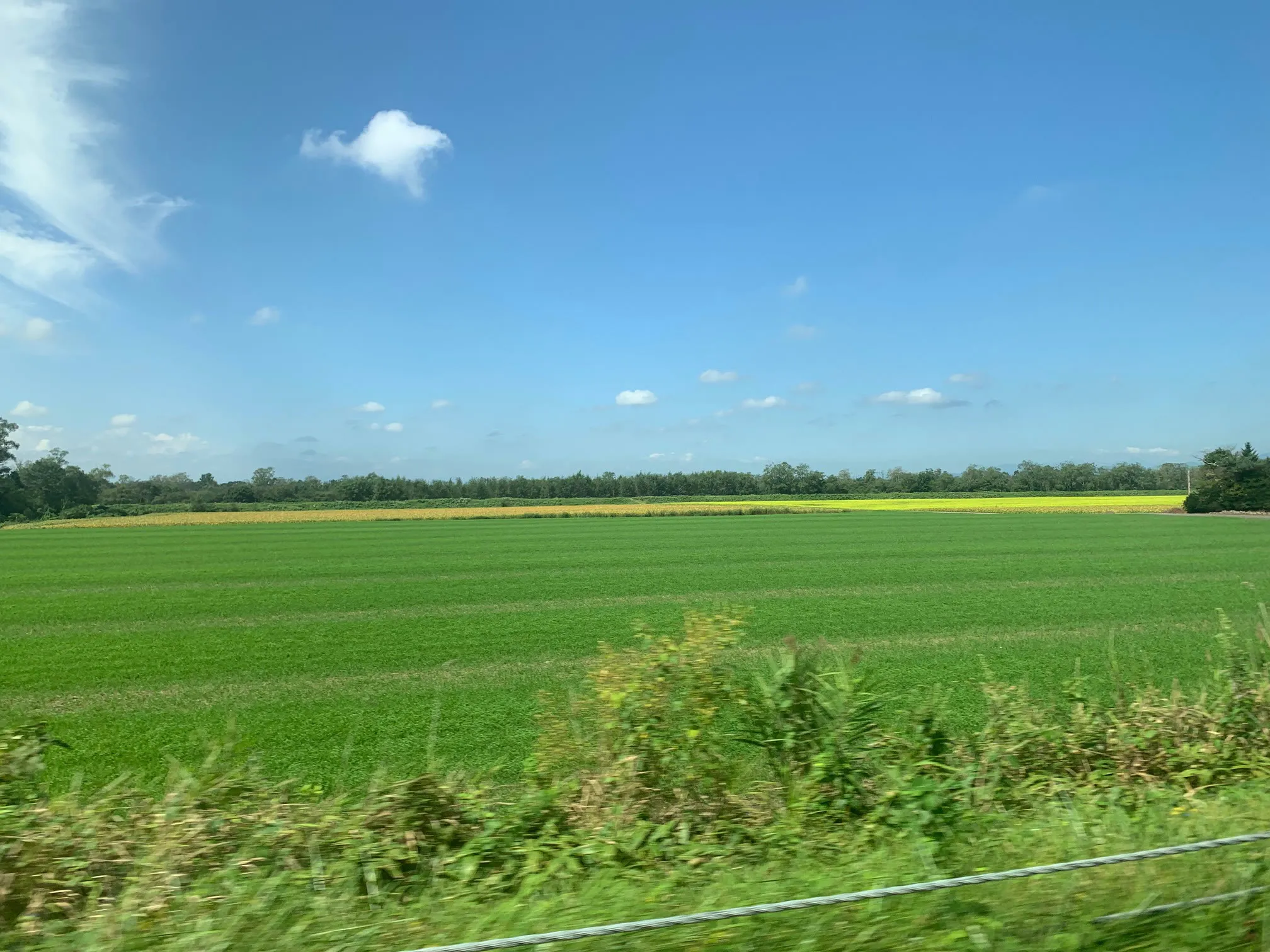 青空の下に広がる緑の農地